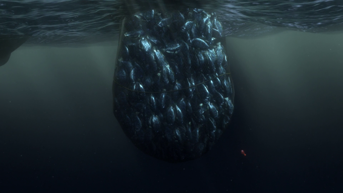 le monde de Nemo